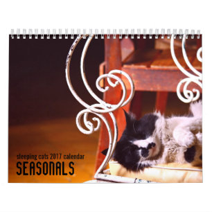 Sleeping cats 2017 wall calendar