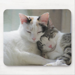 Sleeping Cats Mousepad