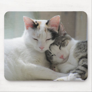 Sleeping Cats Mousepad