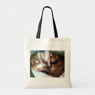 Sleeping cats tote bag