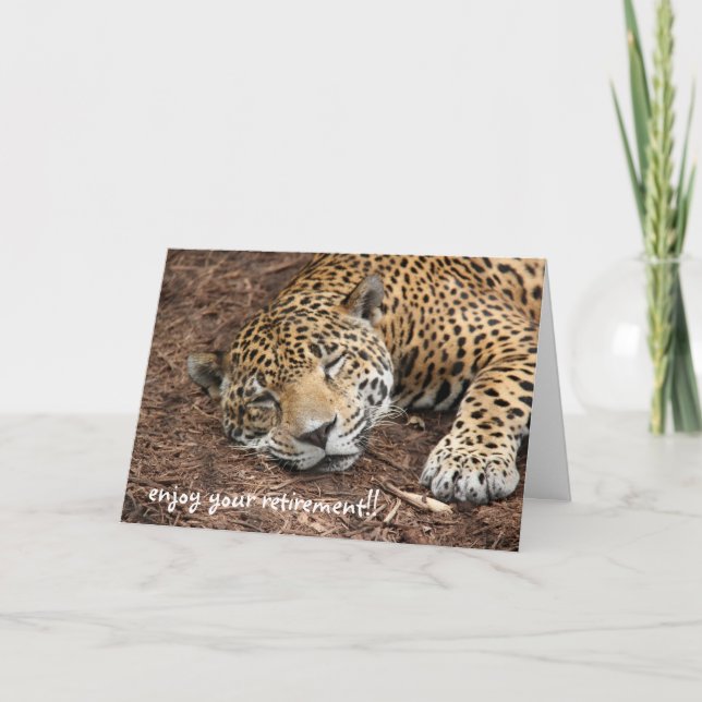 Sleeping Cheetah, funny retirement card (Front)