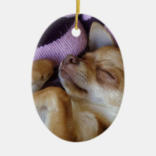 Sleeping Chihuahua Ceramic Ornament