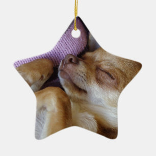Sleeping Chihuahua Ceramic Ornament
