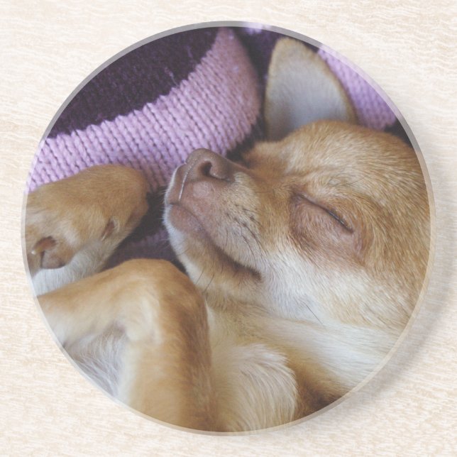 Sleeping Chihuahua Coaster (Front)
