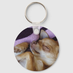 Sleeping Chihuahua Key Ring