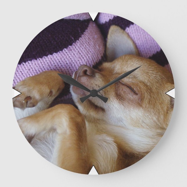 Sleeping Chihuahua Large Clock (Front)