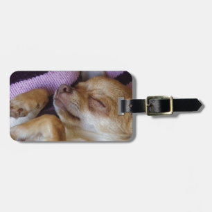Sleeping Chihuahua Luggage Tag