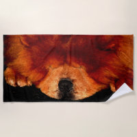 Sleeping Chow Chow btcnm