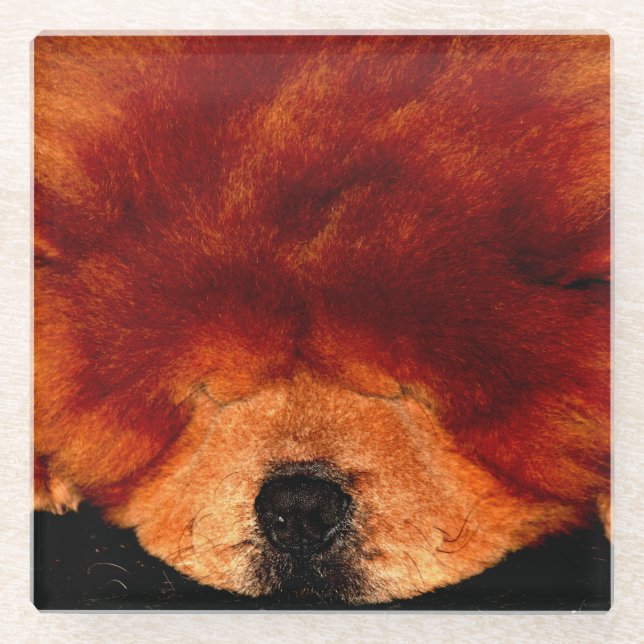 Sleeping Chow Chow coastercnm Glass Coaster (Front)