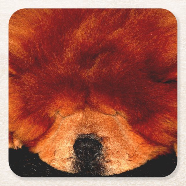 Sleeping Chow Chow coastercnm Square Paper Coaster (Front)