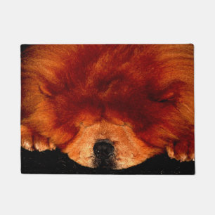 Sleeping Chow Chow dmcna Doormat