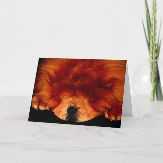 Sleeping Chow Chow gccnm Card (Front)