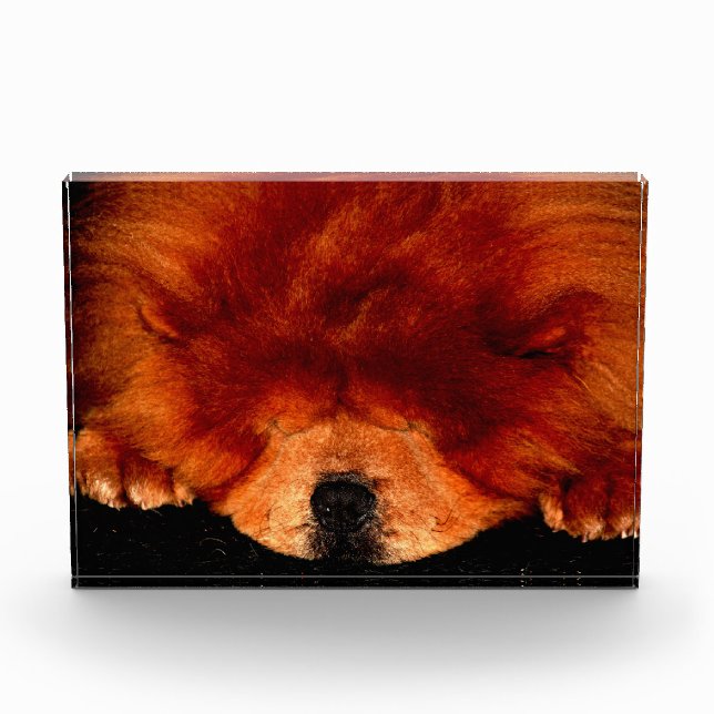 Sleeping Chow Chow pbcnm Photo Block (Front)
