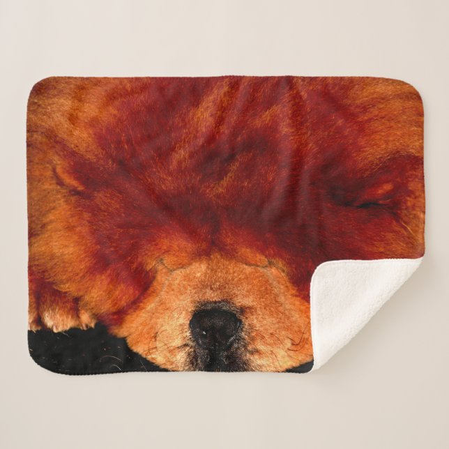 Sleeping Chow Chow sbcna Sherpa Blanket (Front (Horizontal))