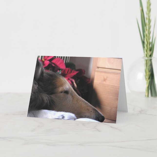 Sleeping Collie Holiday Card (Front)