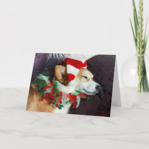 Sleeping Corgi Elf Christmas Card