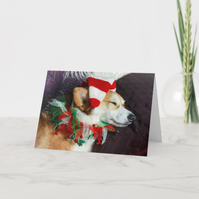 Sleeping Corgi Elf Christmas Card (Front)