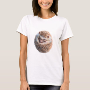 Sleeping Curled Hedgehog Illustration Women T-Shirt