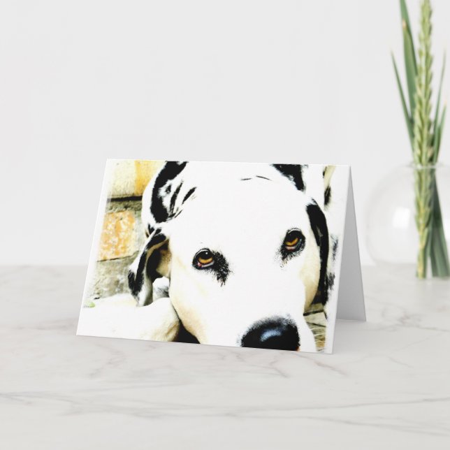 Sleeping Dalmatian Greeting Cards (Front)