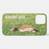 Sleeping Deer in hibernation in autumn on meadow
