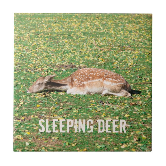 Sleeping Deer in hibernation in autumn on meadow Ceramic Tile (Front)