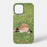 Sleeping Deer in hibernation in autumn on meadow