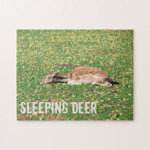 Sleeping Deer in hibernation in autumn on meadow Jigsaw Puzzle