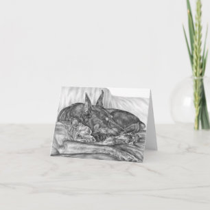 Sleeping Doberman Dogs Drawing by Kelli Swan Card