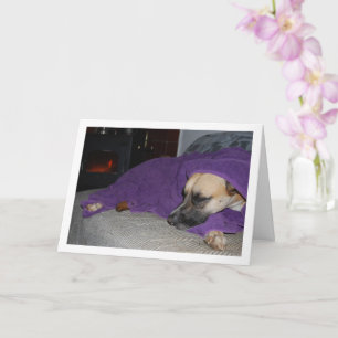 Sleeping Dog by Fireplace Card