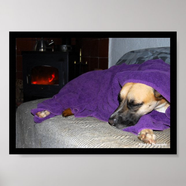 Sleeping Dog by Fireplace Poster (Front)