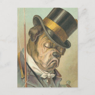 "Sleeping Dog" Vintage Postcard