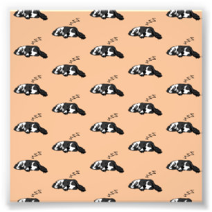 Sleeping Dog ZZZ English Springer Spaniel Pet Photo Print