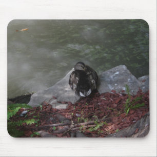 Sleeping Duck Mouse Pad