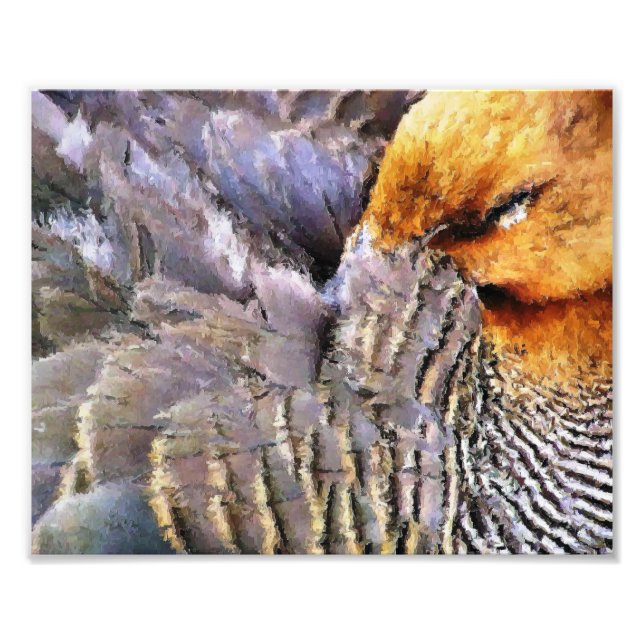 SLEEPING DUCK PHOTO PRINT (Front)