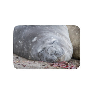 Sleeping elephant seal bath mat