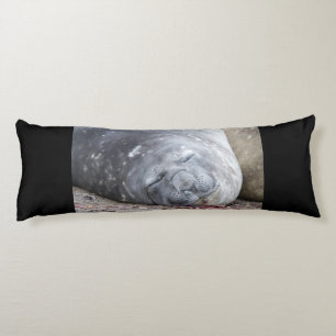 Sleeping elephant seal body cushion