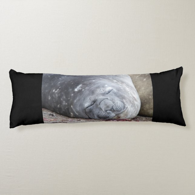 Sleeping elephant seal body cushion (Back)
