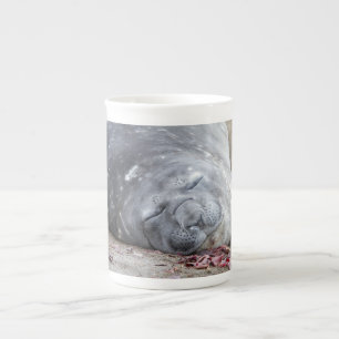 Sleeping elephant seal bone china mug