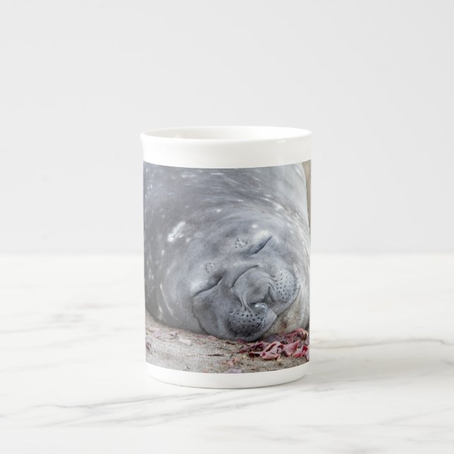 Sleeping elephant seal bone china mug (Front)