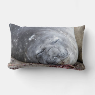 Sleeping elephant seal lumbar cushion