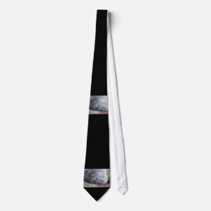 Sleeping elephant seal tie