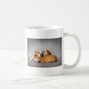 Sleeping English bulldog Coffee Mug