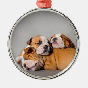 Sleeping English bulldog puppies Metal Tree Decoration