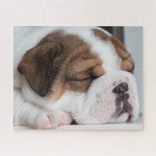 Sleeping English Bulldog Puppy Jigsaw Puzzle