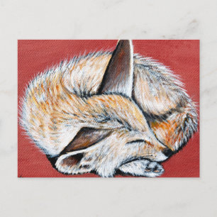 Sleeping Fennec Fox painting Postcard