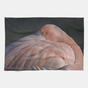 Sleeping Flamingo Kitchen Towel