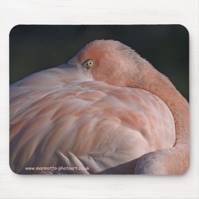 Sleeping Flamingo Mousemat (Front)