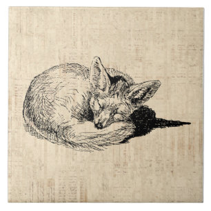 Sleeping Fox Illustrated Art Cute Vintage Animal Ceramic Tile