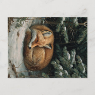 Sleeping Fox in Winter Forest Postcard