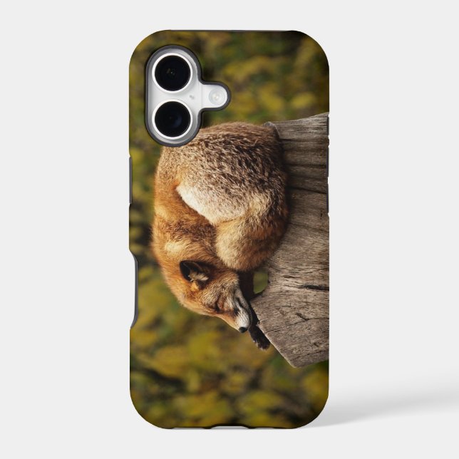 Sleeping fox photo (Back)